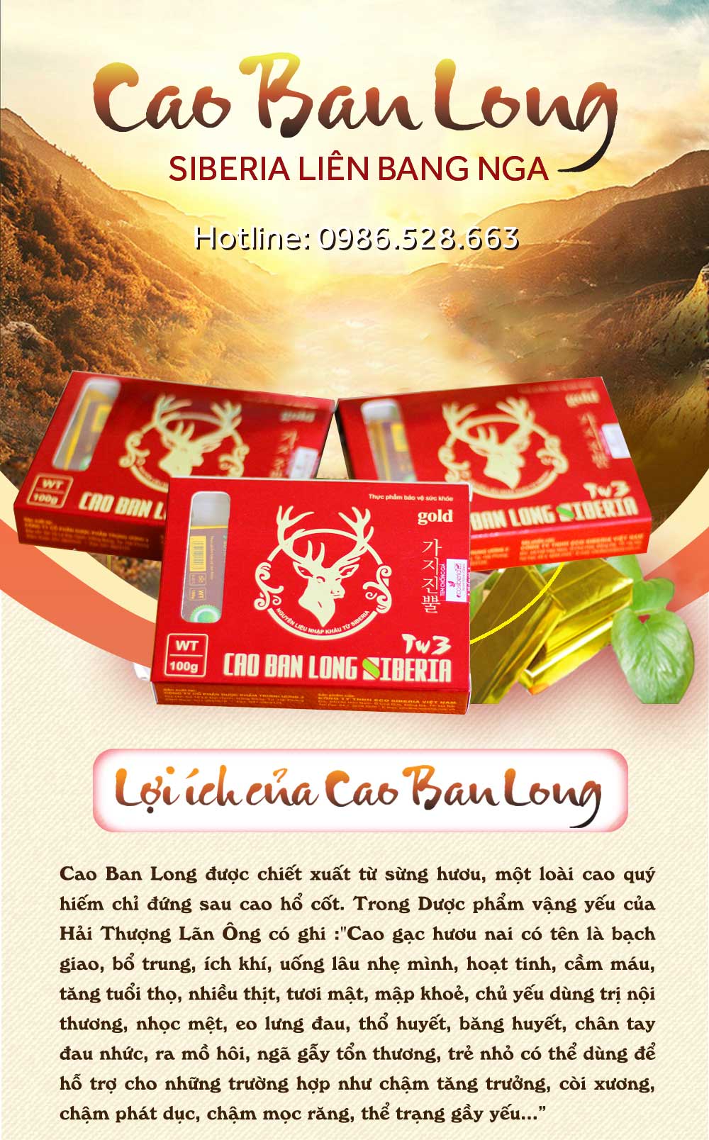 cao ban long