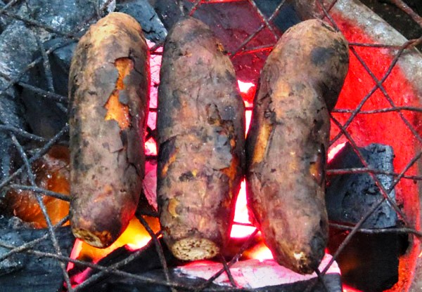 khoai-lang-nuong