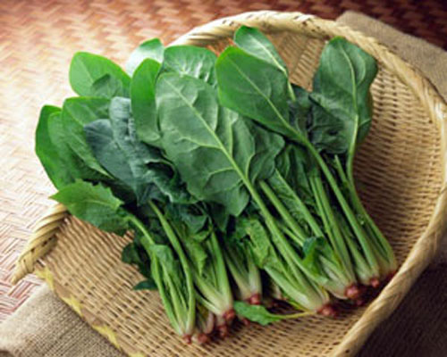 Rau bina giảm sự xuất hiện của nám, nếp nhăn
